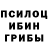 Псилоцибиновые грибы Cubensis Zbyszek Zbyszek