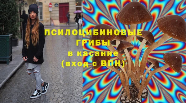 a pvp Алзамай