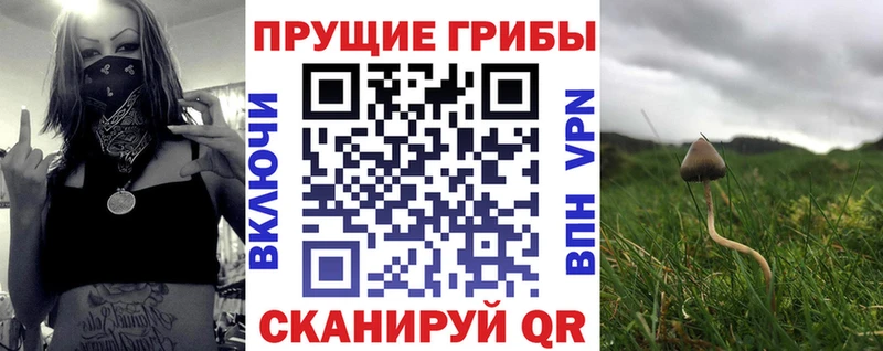 купить наркоту  Бавлы  кракен вход  Галлюциногенные грибы мухоморы 